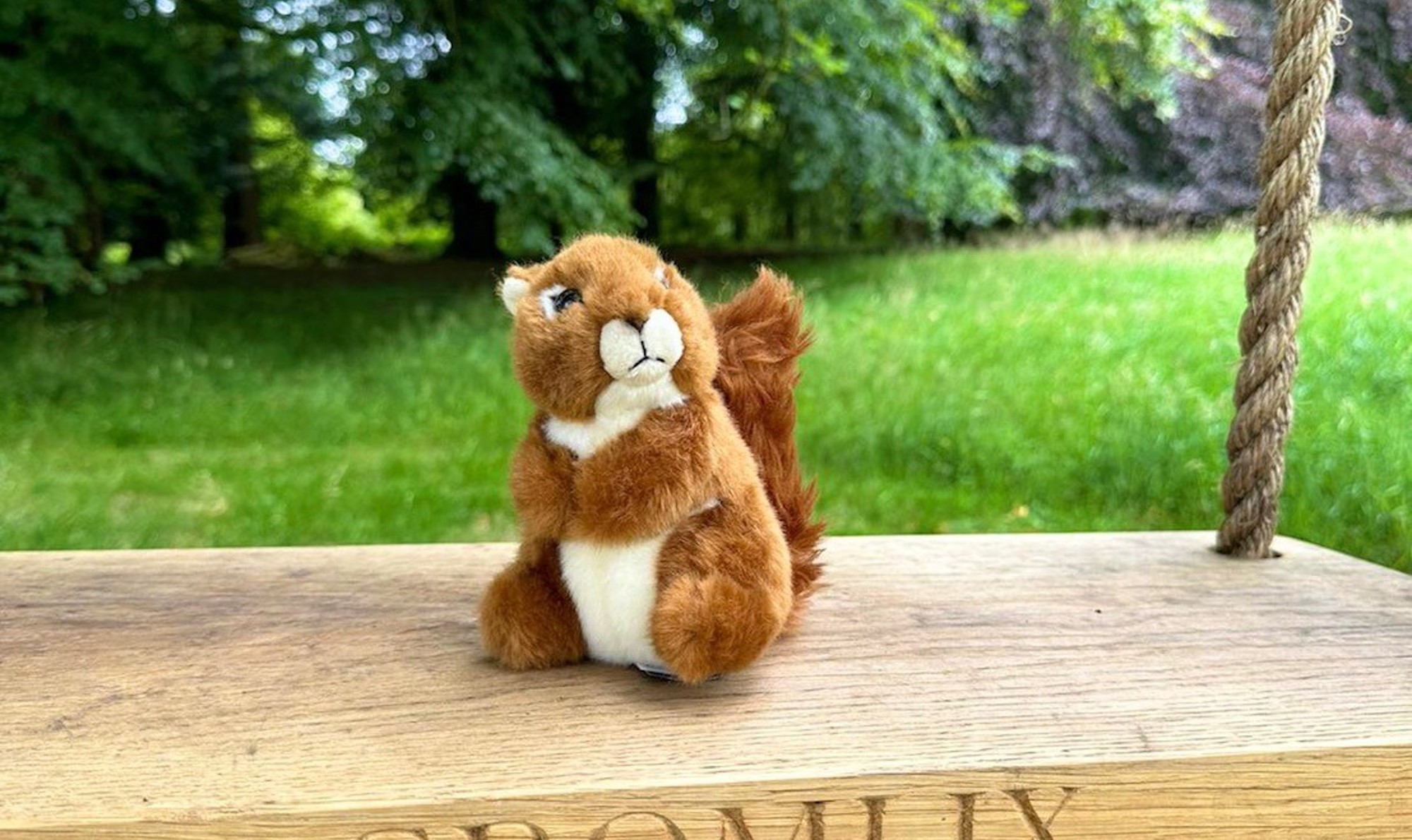 Rusty Squirrel on Swing