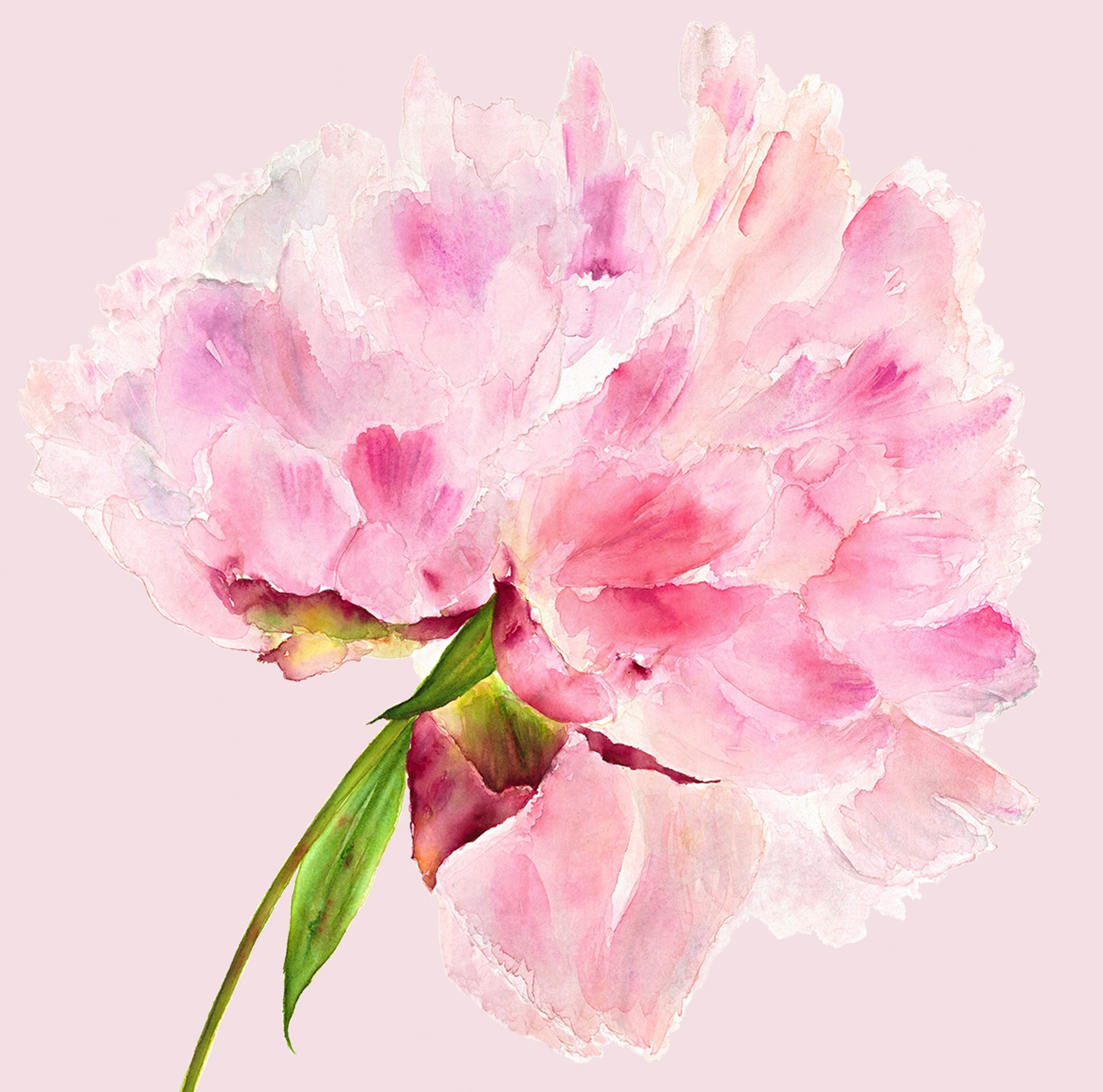 Watercolour