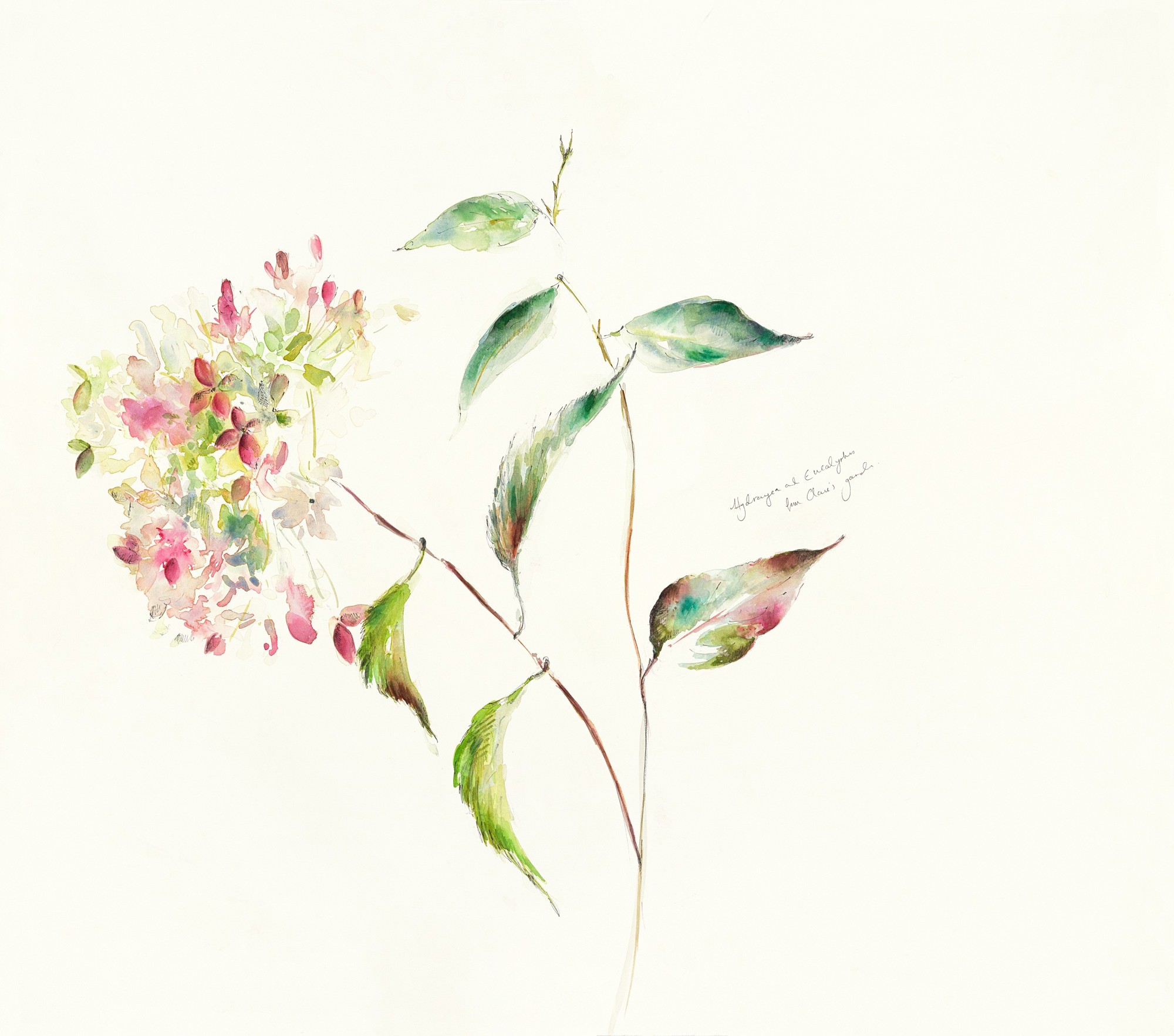 Watercoloir