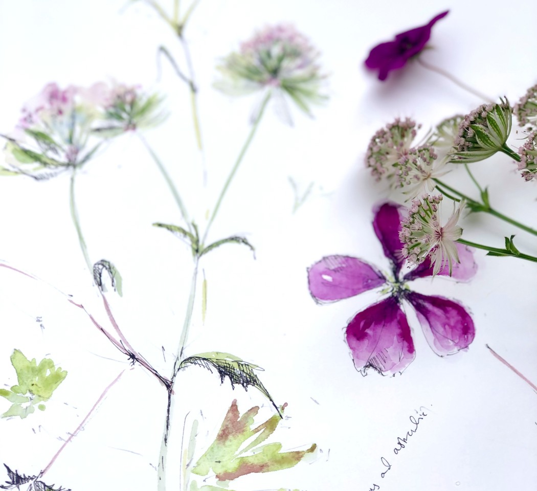 Watercolour 1