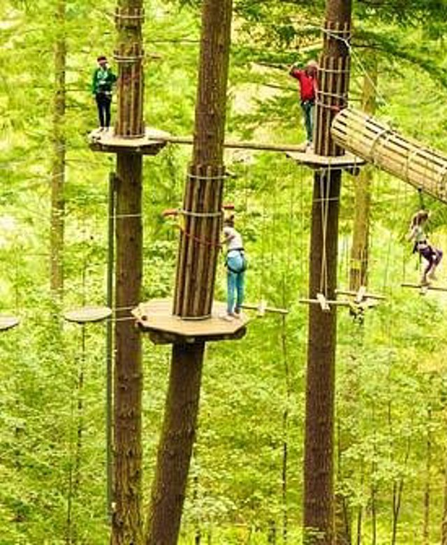 Go Ape At Aberfoyle Stirlingsh