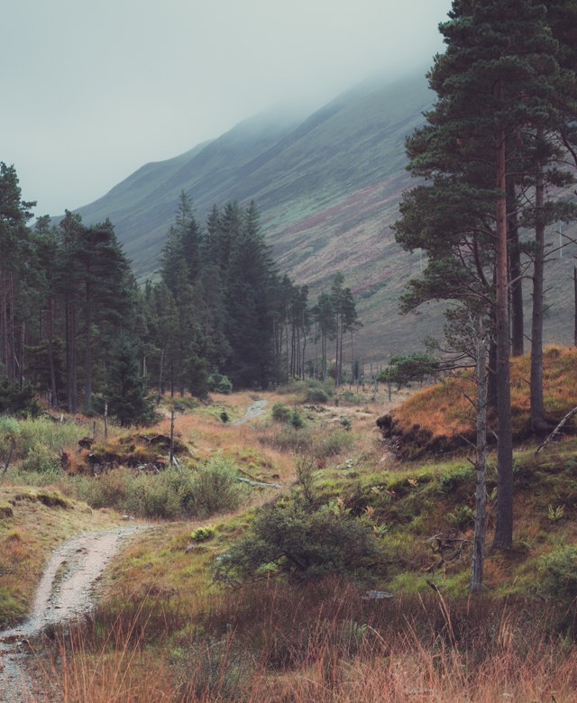 Walking In Scotland Anna Saveleva 9Qyycvmpi1q Unsplash